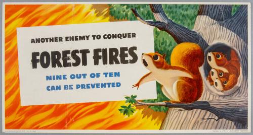 Image courtesy of the Franklin D. Roosevelt Presidential Library and Museum.
