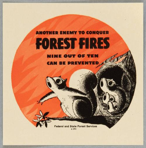 Image courtesy of the Franklin D. Roosevelt Presidential Library and Museum.