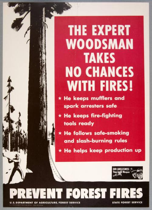 Image courtesy of the Franklin D. Roosevelt Presidential Library and Museum.
