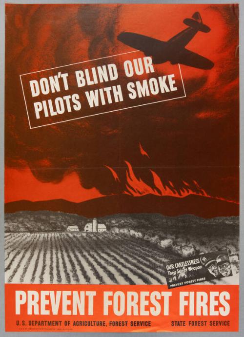 Image courtesy of the Franklin D. Roosevelt Presidential Library and Museum.