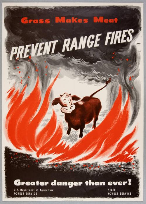 Image courtesy of the Franklin D. Roosevelt Presidential Library and Museum.