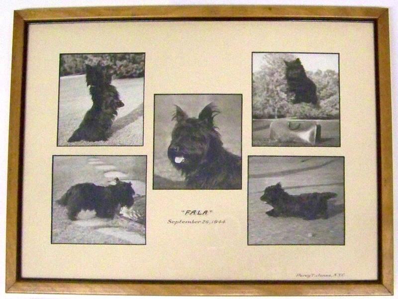 Framed Photographs of Fala